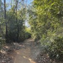 성산 세천 이미지