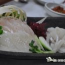 OK낚시