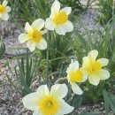 화랑유원지_암벽등반장주변 | 보라매공원 벚꽃 산책 솔직 후기, 서울 한복판에 이런 공원이?! (지압길 강추)