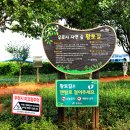 우로지 자연숲 황토길 이미지