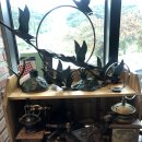 담하가비 이미지