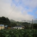 상중대마을회관 이미지