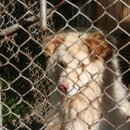 전주동물원 이미지