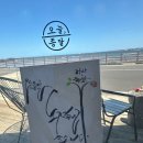 오늘종달