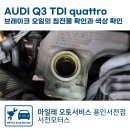 비홍모터스