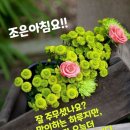 ☆ 수영장 보다 사교춤이 좋을듯 ~ 이미지