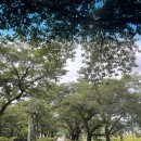숲750 이미지