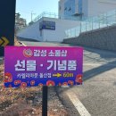 개 편한 애견샵 | 여수 여행 가볼만한곳 추천ㅣ애견동반 기념품 소품샵 카멜리아문 여수돌산점
