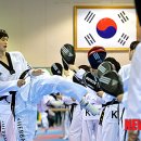 팀태권도&스포츠 이미지
