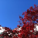 한 웅큼의 빛 이미지