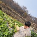 정후농장 이미지