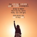 에브리데이시스템 이미지