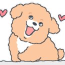 다녀오개습니다 이미지