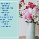 (야)스마트폰 활용 이미지