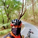 유영목장 이미지