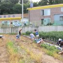 토마토요양병원 이미지