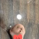 에바다보청기 이미지