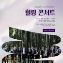 힐링콘서트 네이버블로그