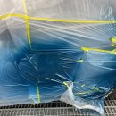 1급삼부자동차공업사 | 미니(MINI) 후휀다 복원 경기광주 1급 자동차공업사 더블유 완벽한 조색과 정품 수리 후기