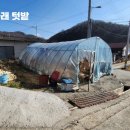 운대1리 네이버블로그