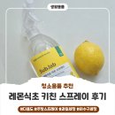 다한식탁 | 과일 세척부터 인덕션 청소까지 주방필수템, 서브랩 레몬식초 키친스프레이 사용후기