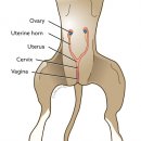 이루동물병원 이미지