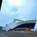 세븐일레븐(한주점) | 제주도 목포 배편 퀸제누비아호 차량 선적 이용 후기