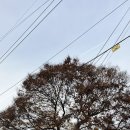 신항경로당 이미지