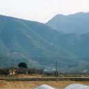 밀양시(상동교) 네이버블로그