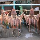 그늘막115 이미지