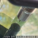 양주도니 이미지