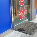 부동산 앞 이미지