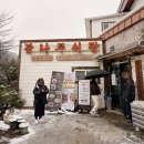 감나무 | 감나무식당 솔직후기 / 양양맛집 황태해장국 웨이팅 방법