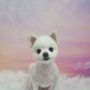 복주미용실