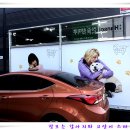 (주)인터펫코리아 이미지