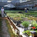 샬롬농원 이미지