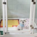 미용천재 이미지