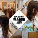 디지털가이 | 오목교미용실/웬스헤어 목동2호점/중단발 디지털펌 후기 ft.수연디자이너