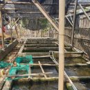 홍지농장 이미지