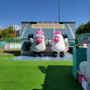 올림픽공원 테니스장 2023 WTA 코리아오픈 테니스 대회 직관 먹거리, 팝업 부스 후기