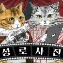 북성로사진관 이미지