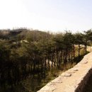 출발~ 삼국시대 여행 이미지