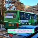 태성여객 이미지