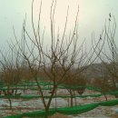 만복농장 이미지