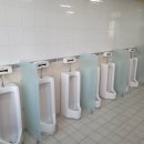 효성서초등학교 티스토리
