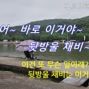 구트 조행기 124화 - 맞어~ 바로 이거야~ 뒷방울 채비~ 이미지