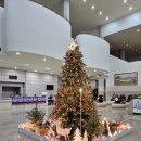 한라아트홀 대극장 | 제주도 문화예술진흥원 주최 2025 제주청년음악열전 관람 후기