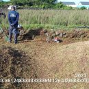 판포리 사무소 이미지