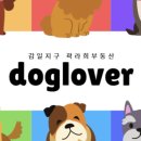 곽라희부동산공인중개사사무소 이미지