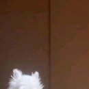 히유컬 이미지